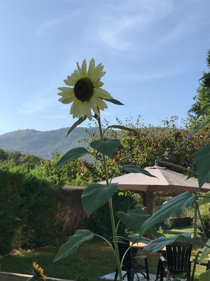 Vue Du Gar Lägenhet Saléchan Exteriör bild